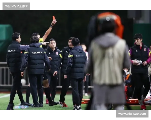 如何从超级联赛成功晋升至职业联赛的全方位指南与战略分析